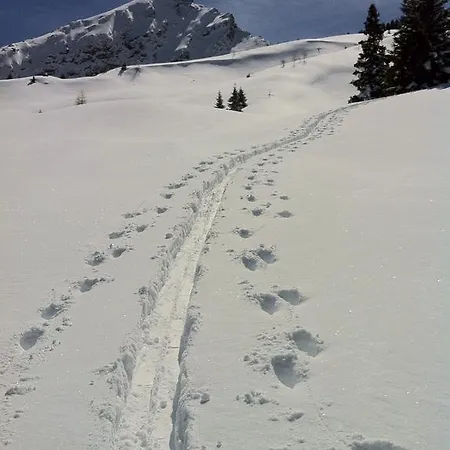 Apartment Steinbachhaus *