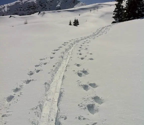 شقة Steinbachhaus *